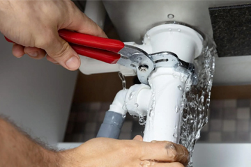 Detection, pipe repair, seal replacement, moisture control, and structural damage assessment.